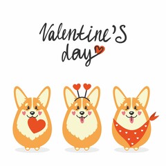 Obraz na płótnie Canvas Vector illustration of corgi dogs with hearts and Valentine's Day