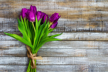Purple tulip, liliaceae on rustic desk. Cut flower bouquet on wood background