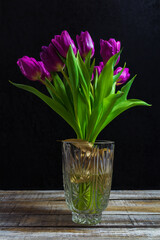 Purple tulip, liliaceae in glass vase on rustic desk. Cut flower bouquet on black background