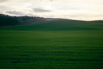 Awe-inspiring landscape with fresh short green grass and shining blue sky with bright sun under clouds and shadows from them on field in daytime. Copy space.