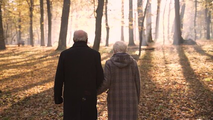 Rear view of aged people with white hair walking holding hands towards bright sun in autumn park. Walking eldery couple is greeted with gentle warm dawn, road to heaven, happiness after death concept