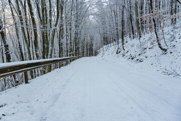 Winter road. Automobile road in a snowy forest.