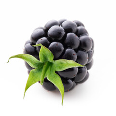 Blackberry isolated on white background close up.
