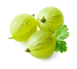 Green gooseberries with leaf isolated on white background. Group of three ripe green gooseberry berries and leaf.