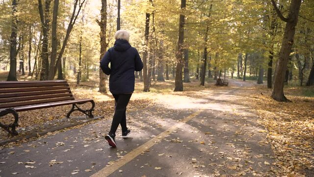 Rear view of sporty senior female jogger with gray hair running along alley in autumn park. Active old lady doing sports in nature, enjoying healthy cardio training before starting exercises