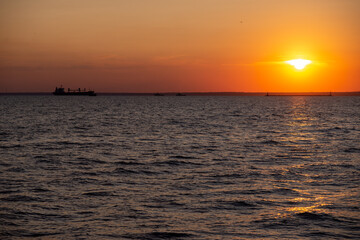 Beautiful sunset over the sea. Bird flying. Orange sky. Azov sea.