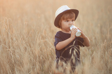 Hungry cute toddler: little boy 2-3 years old drinks milk from a glass bottle on a summer day in wheat field © Evgeniya Grande