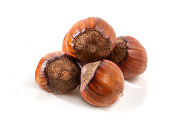 Hazelnuts in the shell. Round filbert, ripe fruit of a Corylus avellana hazel shrubs.