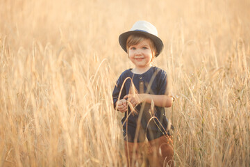 Naklejka na ściany i meble Portrait of cute caucasian little boy 2-3 years old in a straw hat walking and playing in a wheat field on a summer day at sunset 