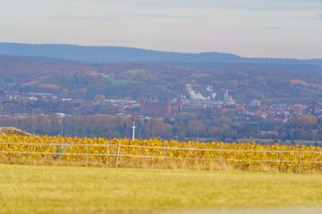 Autumn colours - yards - check out also my others