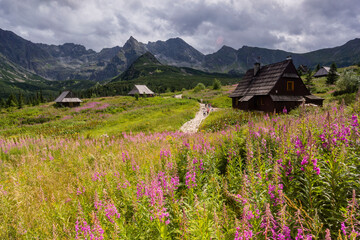 Fototapeta na wymiar cabaña, Valle de gasienicowa , parque nacional Tatra, voivodato de la Pequeña Polonia, Cárpatos, Polonia, europe