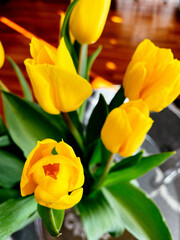 Naklejka premium bouquet of yellow tulips