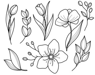 Line art. Set of hand drawn spring flowers, leaves and twigs. Graphic sketch
