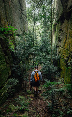 hiker in the forest