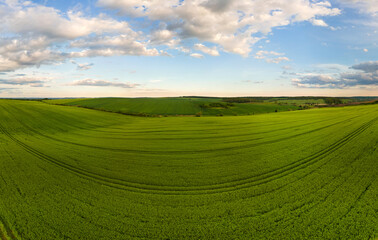Aerial landscape view of green cultivated agricultural fields with growing crops on bright summer day