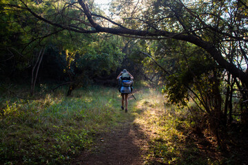 Obraz premium hiker in the woods