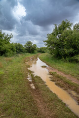 Vertical landscape of a dirt road in the countryside after a thunder storm.  There is a large puddle of mud water 