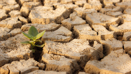 The hustle is real. The one with passion and hustle will grow no matter what are the circumstances.