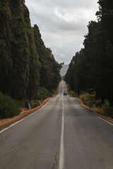 strada toscana bolgheri 