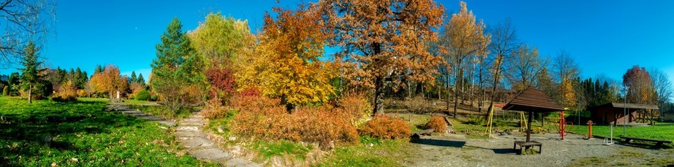 Fototapeta na wymiar Golden autumn in the city Park