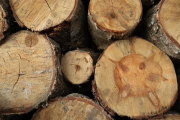 Closeup of pile of sawn wooden logs from the forest