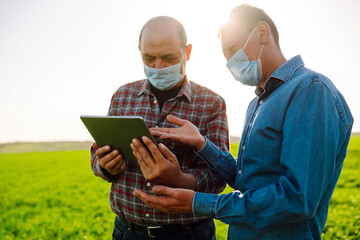 Two Farmers in sterile medical masks discuss agricultural issues on a a green wheat field. Farmers...
