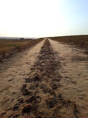 dirt road in the field
