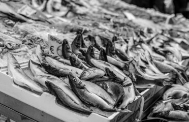 fish on the market