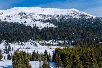 snow covered mountains