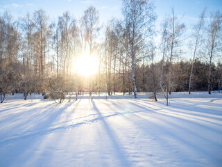 Obraz premium Beautiful winter landscape. The enjoyment of solitude.