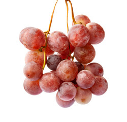 Red globe grapes isolated on white background