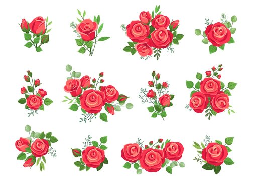 Red roses bouquets. Rose collection, bouquet with flowers and green branches. Wedding decor, isolated floral compositions for cards and invitation, vector set