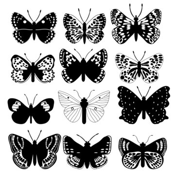 collection of butterflies black and white svg vector illustration