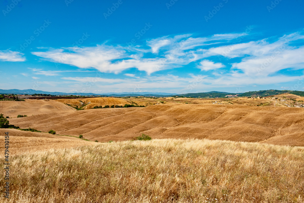 Sticker wheat fields in summer in Tuscany