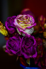 Bukiet róż © Piotr Gancarczyk