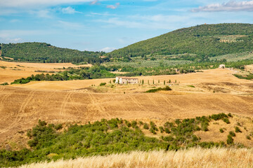 Fototapeta na wymiar wheat fields in summer in Tuscany