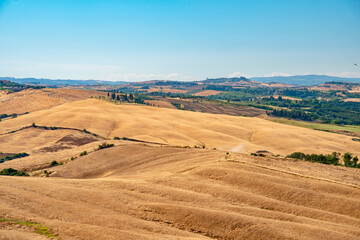 Fototapeta na wymiar wheat fields in summer in Tuscany