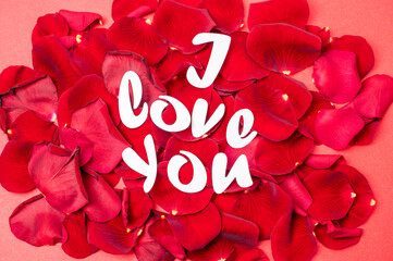 Paper message on real red rose petals 'I love you" serif font, valentine, love sign