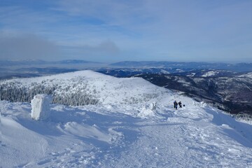 winter, mountain, misty, people, snow, activity, adventure, alps, amazing, babia gora, babiogorski national park, background, beautiful, beskid zywiecki, beskidy, blue, climbing, cold, day, fir, frost