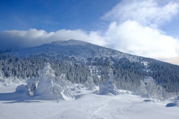 Obraz premium Mountain view around Brona Pass to Babia Gora Peak in winter sunny day. Diablak, Babiogorski National Park, Beskid Zywiecki, Poland