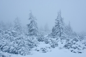 Mgła zimą w Karkonoszach