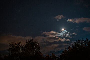 Luna aparece entre las nubes en anochecer colorido entre arboles 