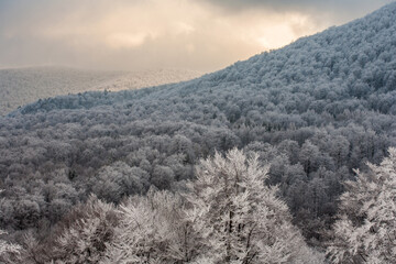 Bieszczady Mountains, Bieszczady National Park, Carpathians Mountains, Poland and Ukraine