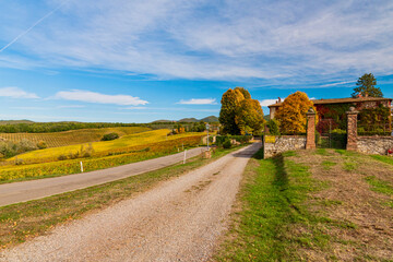 Fototapeta premium autumn in the Sienese Chianti