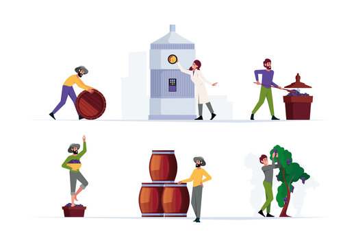 Wine production. Making wine from healthy delicious natural grape winery harvesting people growing plants rural industry garish vector flat illustrations set