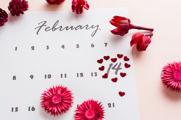 Valentine's Day. Small red hearts highlight the date February 14 on the calendar sheet and dry flowers on a pink background.