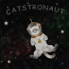 Fototapeta An ashen cat astronaut in a spacesuit floats in outer space among the stars. Catstronaut. obraz