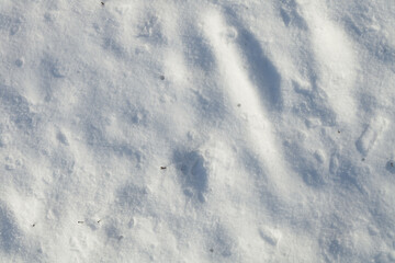 High angle view of snow texture. Snowfall. Background.