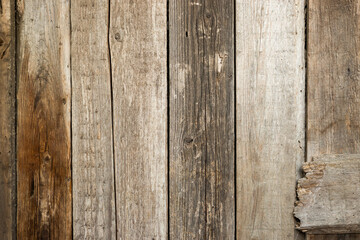 The brown wood texture with natural patterns, old tree background