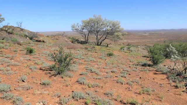 Rough terrain surface of red soil australian outback near Broken hill as 4k.
